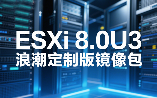 ESXi 8.0U3 inspur（浪潮）定制版 iso镜像包下载