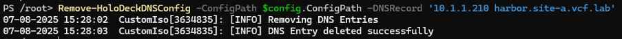 Remove-HoloDeckDNSConfig.jpg