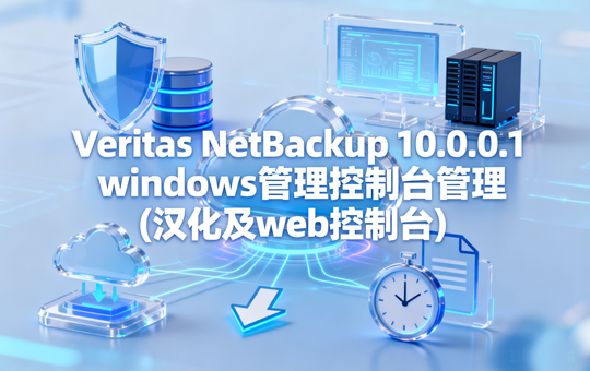 Veritas NetBackup 10.0.0.1windows管理控制台管理(汉化及web控制台)