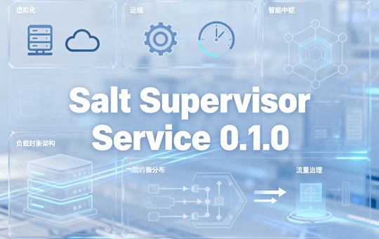 Salt Supervisor Service 0.1.0下载