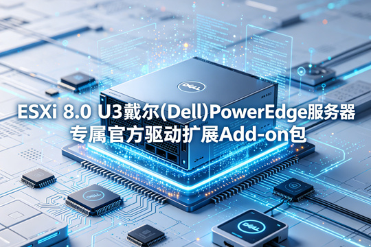VMware ESXi 8.0 U3戴尔(Dell)PowerEdge服务器原厂定制Add-on驱动扩展包(Dell_Addon_8.0.3_A09.zip)下载
