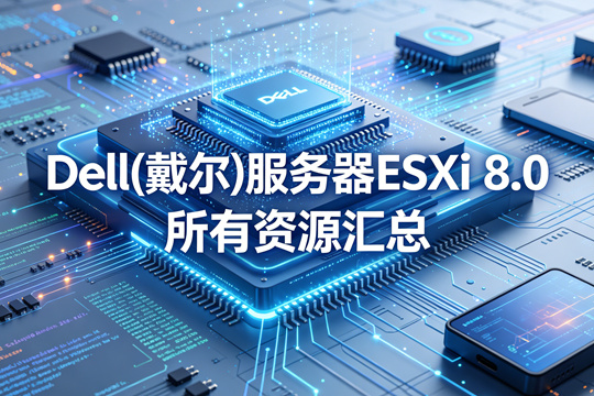 Dell(戴尔)服务器ESXi 8.0所有资源汇总