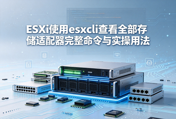 ESXi使用esxcli查看全部存储适配器完整命令与实操用法